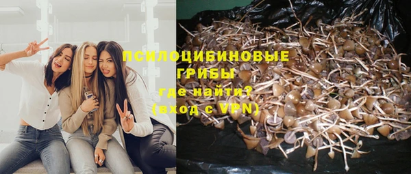 каннабис Алексеевка