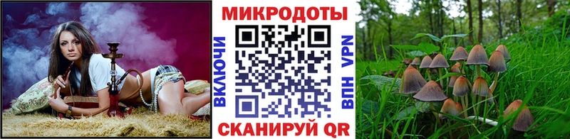 Галлюциногенные грибы Psilocybe  MEGA маркетплейс  Усолье  купить  